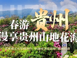 春游贵州 漫享贵州山地花海